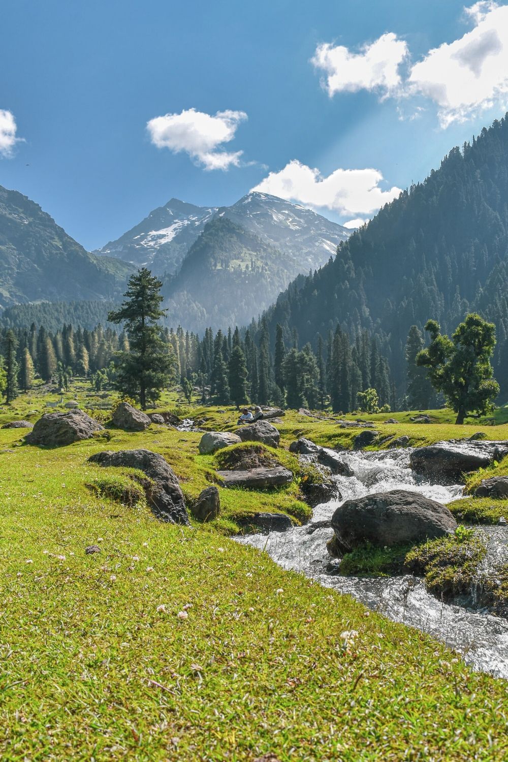 kashmir